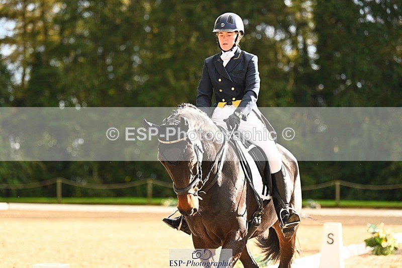 231021-153108-20871 - 259-BOSTON.IV-Rosie.Thomson-DR