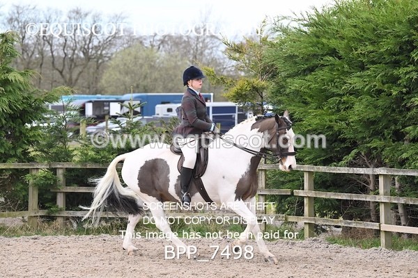 BPP_7498 - RING 1  (RIDDEN HORSES / IN HAND / VETERAN ETC)