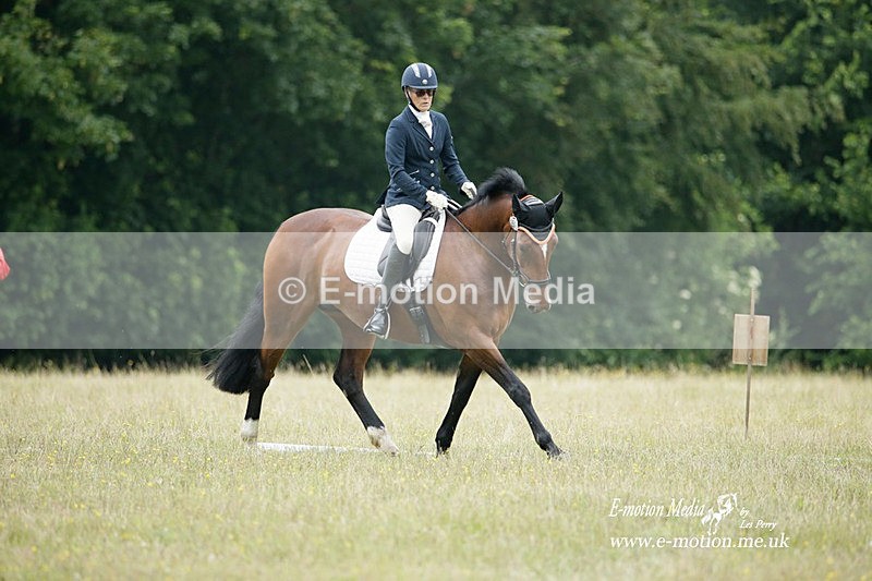 BVRC 030721 659 - Bourne Valley Riding Club Dressage 03/07/21