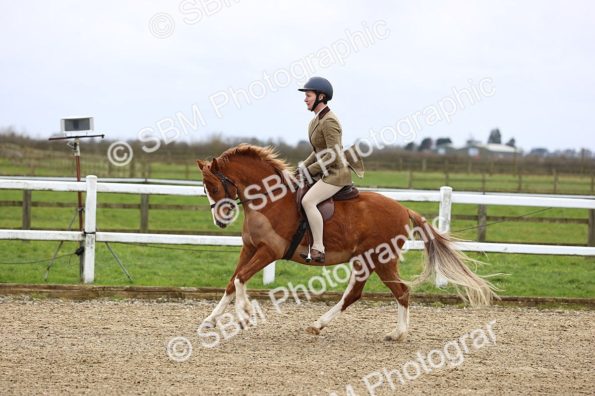 SBM_006782 - Class 29 - 30 - M&M Pure Novice Small-Large Breeds