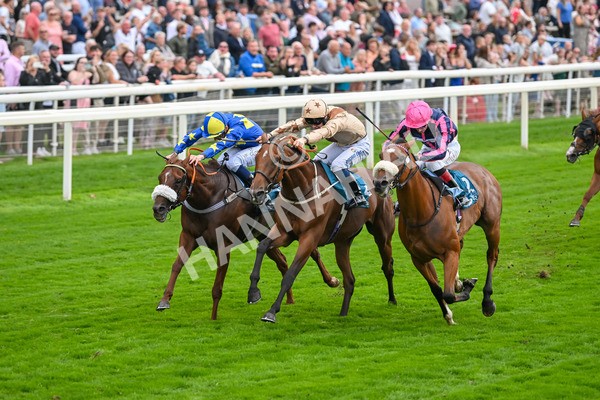 080925-Race 3-Rock N Roll Pinkie-7521 - Race 3 3.30pm Skybet Proud To Support ROR Stayers Handicap