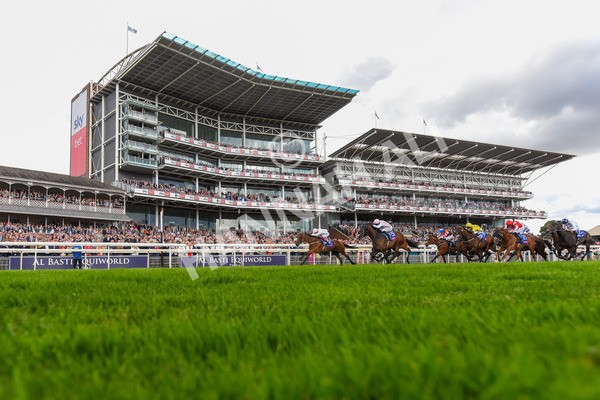 260823-Race 4-Absurde-1642 - Race 4 Sky Bet Ebor Handicap
