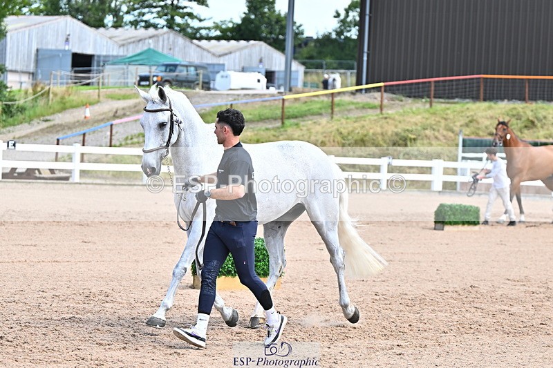 240718A-105254-01307 - Trot Up 12pm to 1pm