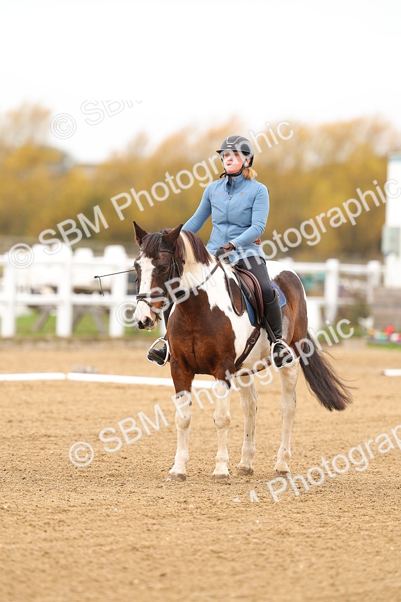 SBM_000219 - Class 2-11 - CT Intro 3 60cm - DR Intro 3