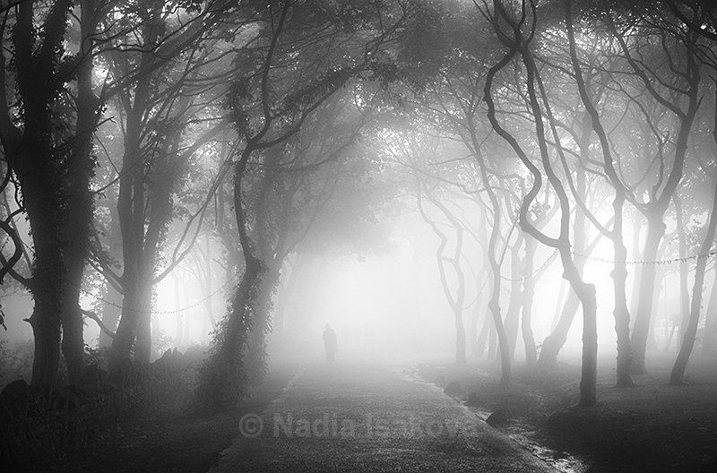  - Black & White