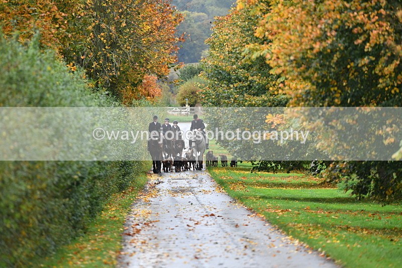 WJ5_6034 - B&B walk back for Hunt Tea !