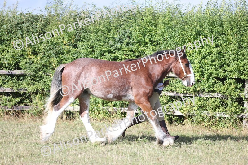 20250831-1354 - Class 21 - Inhand Open