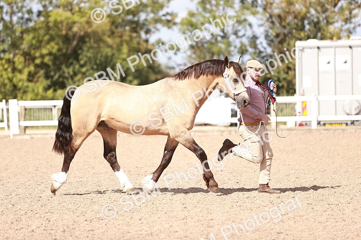 SBM_23029 - Class 707 - IH groom Helpers Class