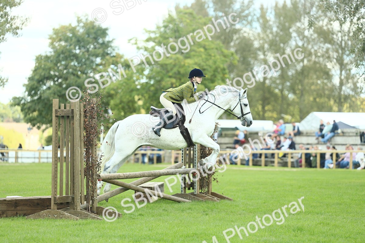 SBM_43024 - S30 - M&M Working hunter Pony
