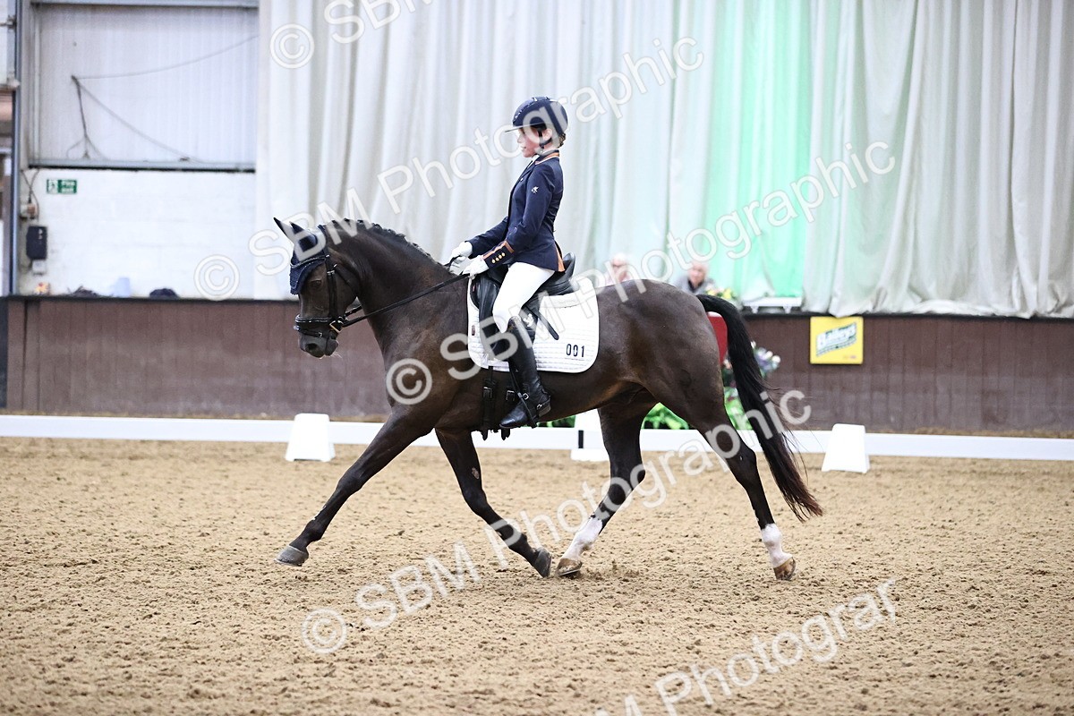 SBM_008335 - Class 15 - FEI Junior Pony Team-YR-COH