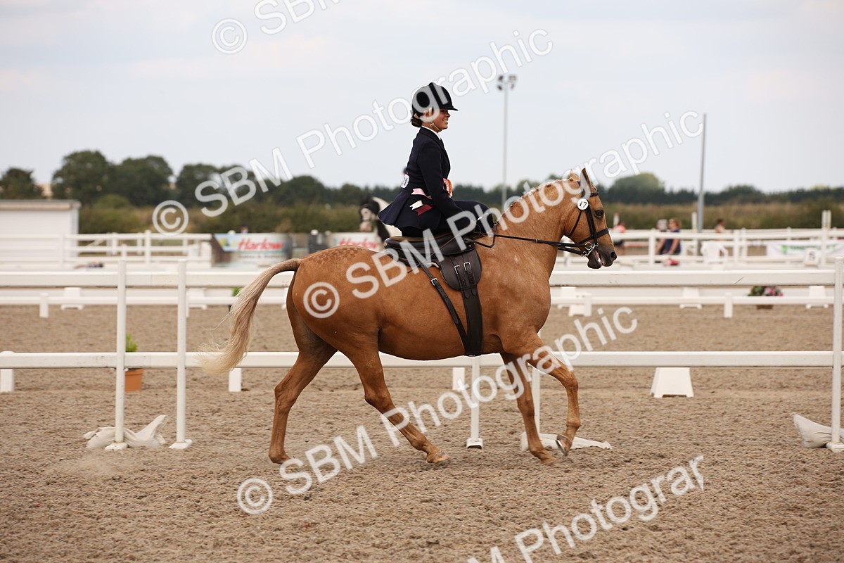 SBM_05536 - Class 22 SSA Equitation