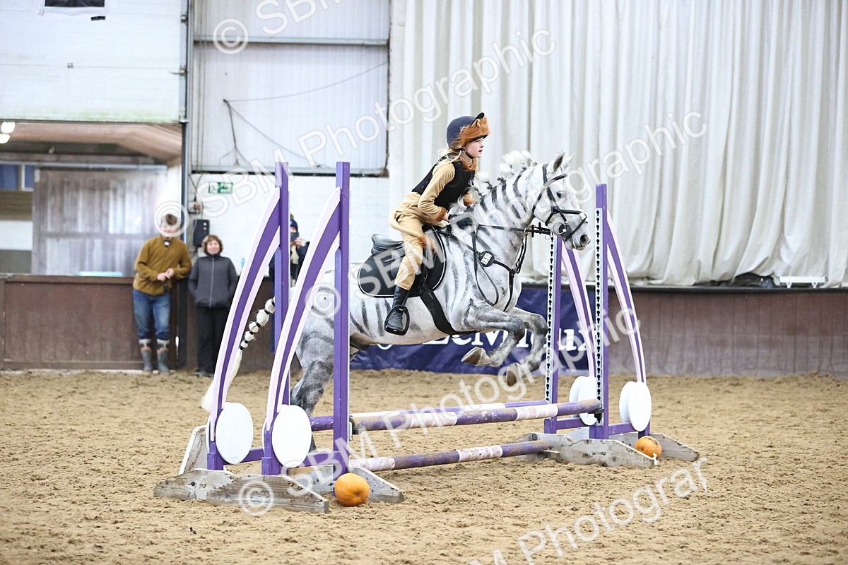 SBM_001268 - Class 3 - Horse & Hound 60cm