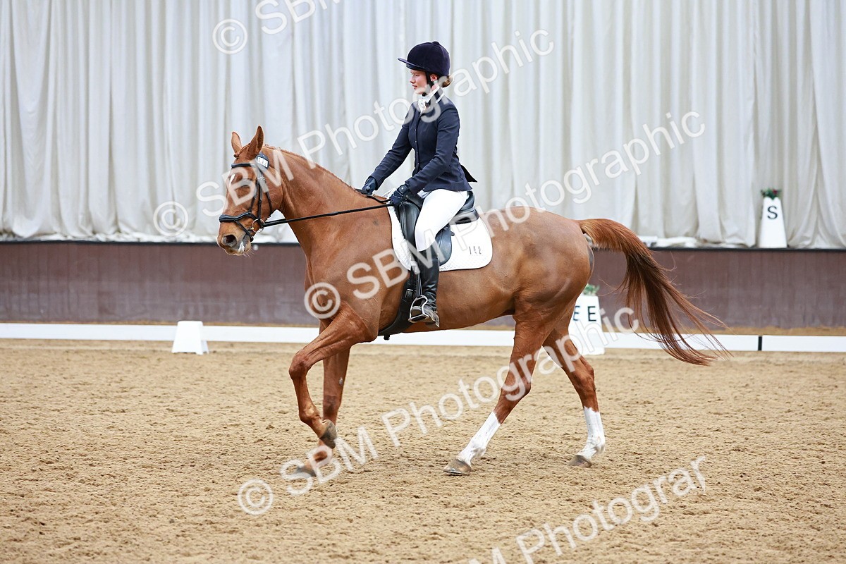 SBM_003467 - Class 11 - Novice 2