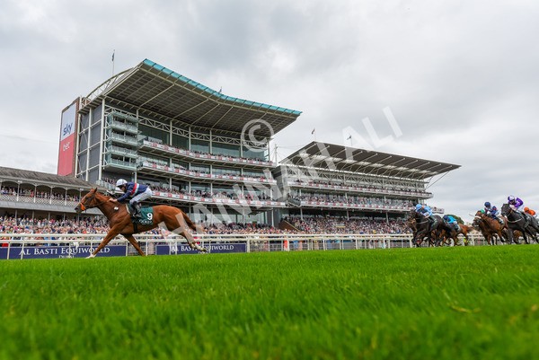 240823-Race 2-Dragon Leader-1168 - Race 2 2.25pm Goffs UK Harry Beeby Premier Yearling Stakes