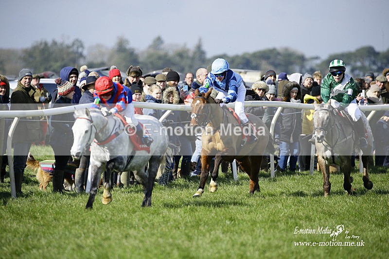 PtP 060322 81 - Blackmore & Sparkford Vale Hunt PtP 06/03/22