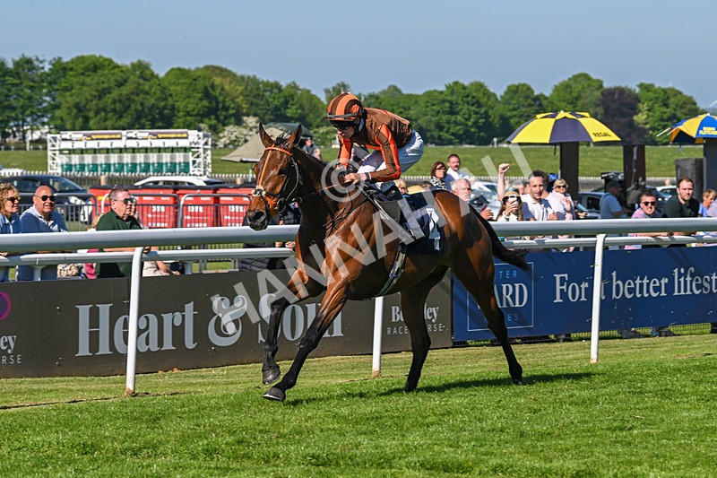 130525-Race 6-Analogical-0430 - Race 6