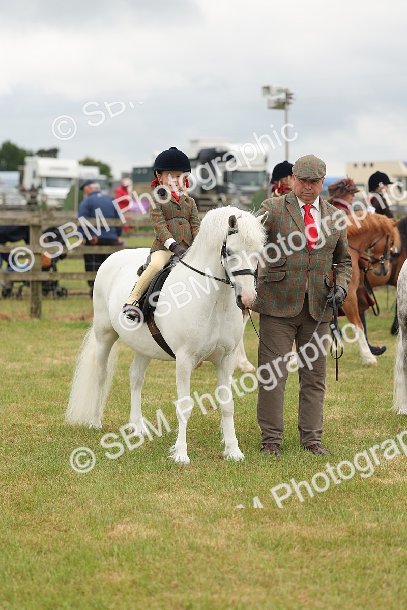 SBM_06745 - Class 74-75 - M&M Lead Rein and First Ridden Pony