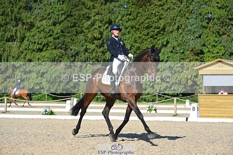 230526-171805-07562 - 262-TREAMBLE-Finn_Healy-WEDTrotUp+DR