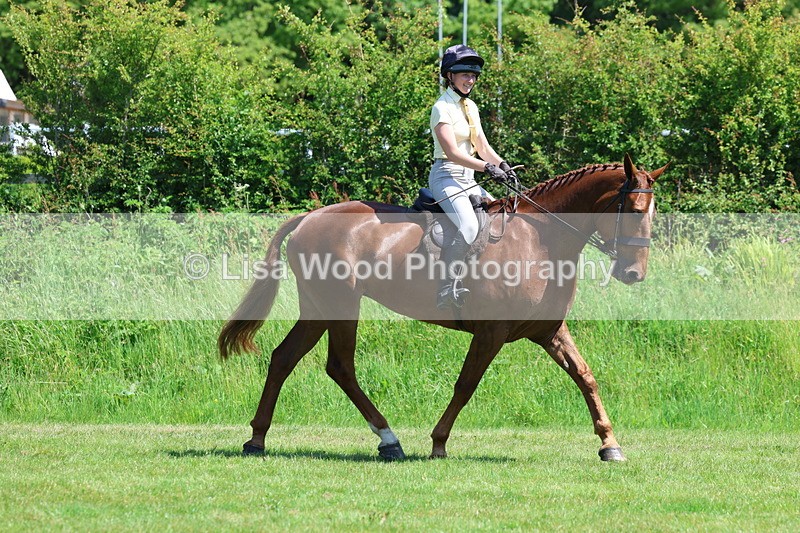 3E7A8045 - Working Hunter Championship