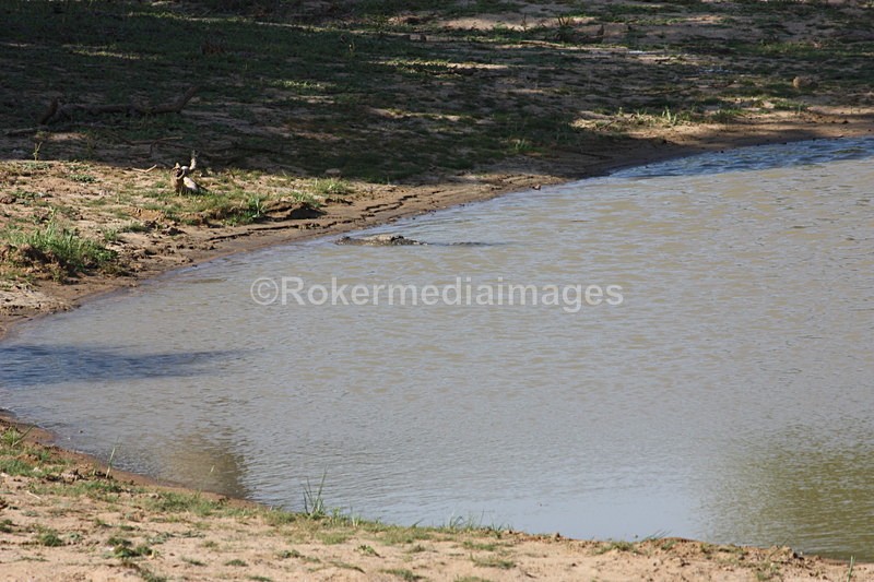  - Travel and culture