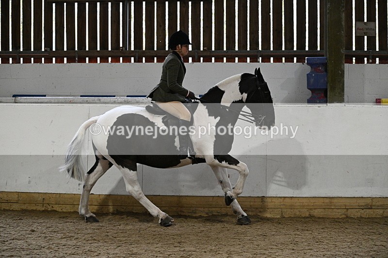 WJ7_3828 - Class 17 Ridden Cob