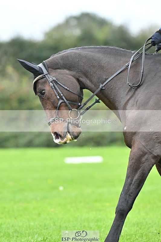 241024-105347-02305 - 312-Charlotte.Bradbury-KENSINGTON.EMPIRE