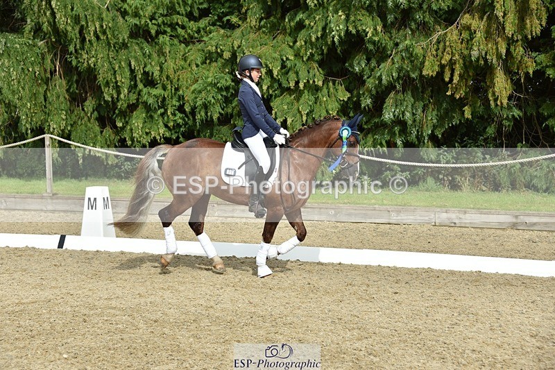 230812-160900-05419 - Novice Bronze Presentations