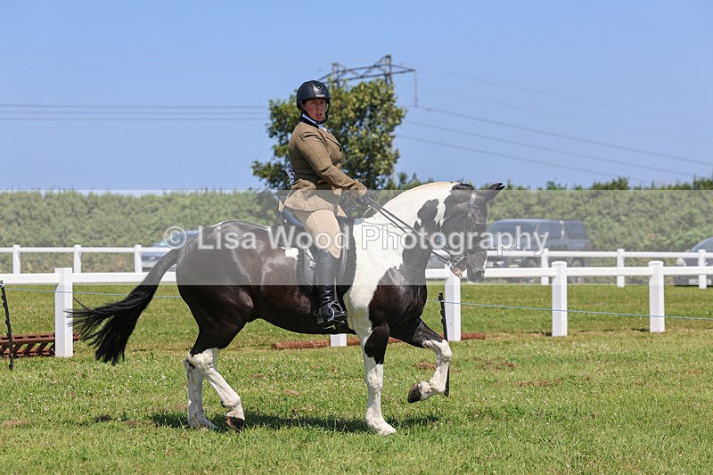 IMG_2368 - Class 38: Veteran Ridden