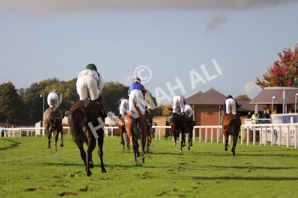 yr07102022r4-46 - Race 4 3.50pm William Hill Best Odds Guaranteed Stakes