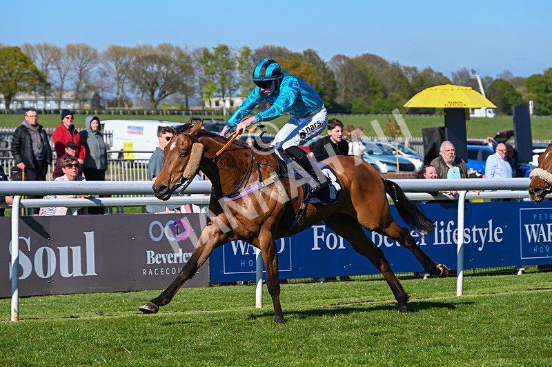 230426-Race 6-Tees George-5263 - Race 6