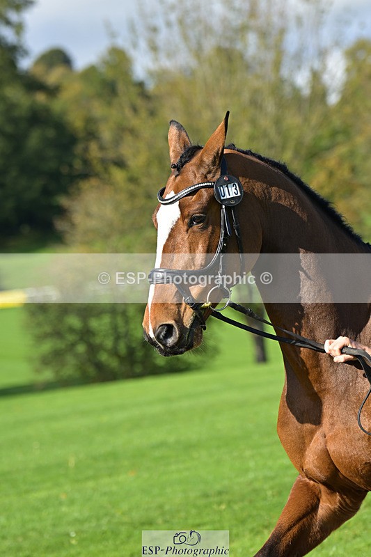 241023-130117-00026 - 013-Cameron.Beer-GREENLANES.LE.BAMBALOU
