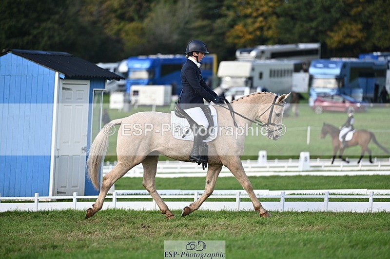 251024A-150839-13958 - E-395-Rolline.OCallaghan