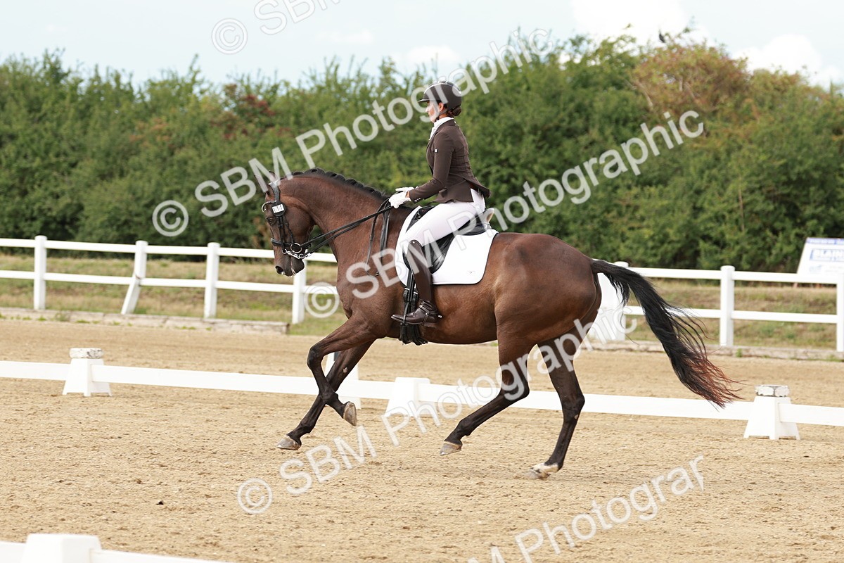 SBM_002395 - Class 11 - Medium 6