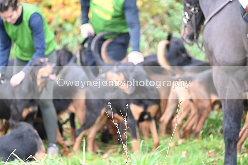 WJ6_8583 - Meet