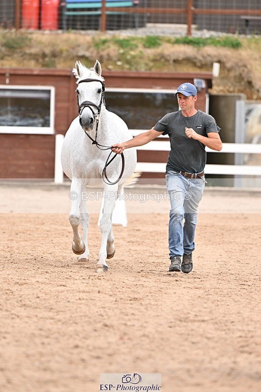 250716-152320-01902 - Trot Up 2.30 to 3.30