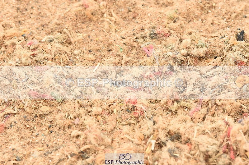 230610A-164404-04243 - Cls 25 Team Competition