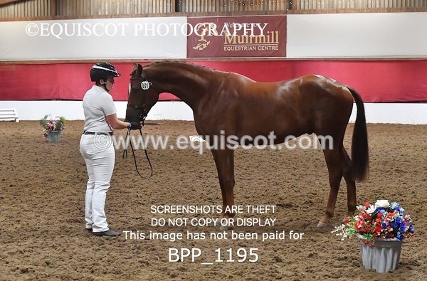 BPP_1195 - MORNING 9AM - 12PM