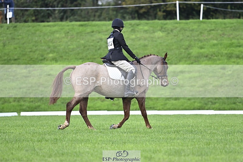 251023A-101807-02802 - F-403-Hugo.Moor