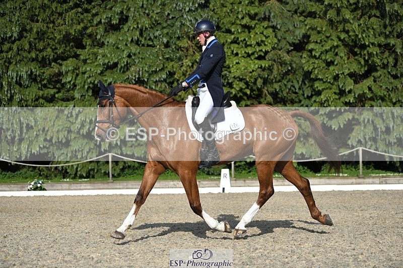 230525-175015-03617 - 131-FORTSIDE_COBRA-Freddie_Carden-WEDTrotUp+DR