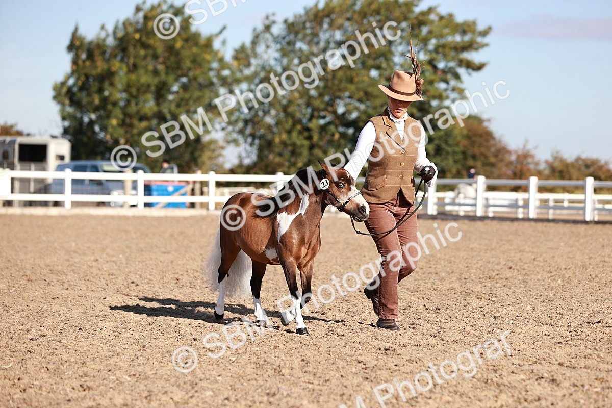 SBM_11445 - Class 402 - IH  Veteran pony