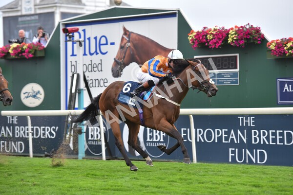 yr18082022r7-32 - Race 7 5.20pm British Stallion Studs EBF Fillies' Stakes