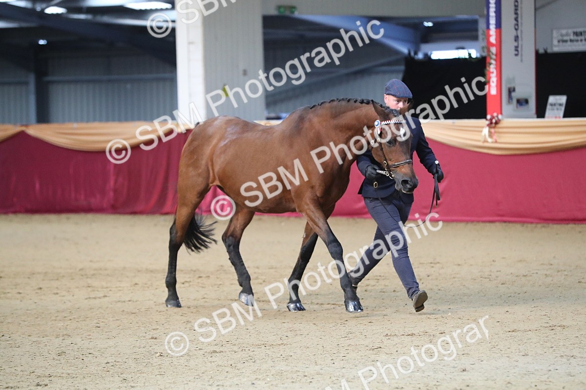 SBM_00294 - Class 1a - Area IH Diamond