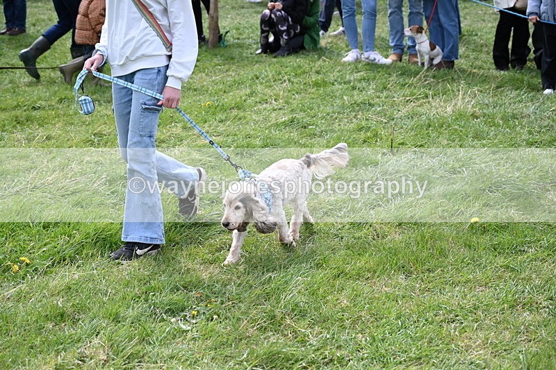 WJ6_8293 - Class 4 Prettiest Bitch