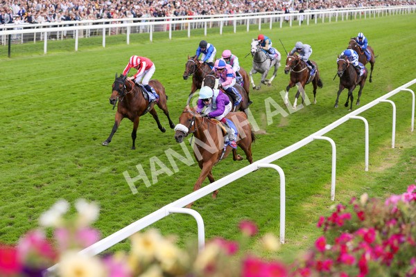 240824-Race 1-See The Fire-8884 - Race 1 1.50pm Sky Bet Strensall Stakes