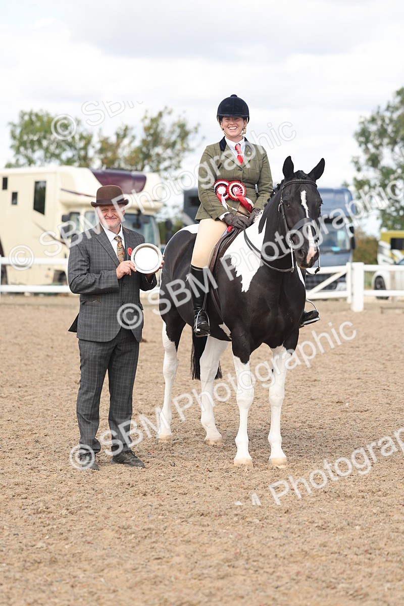 SBM_14836 - Class 308 - Ridden Coloured Horse
