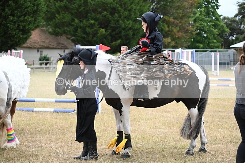 WJ6_9262 - Class 11 Fancy Dress