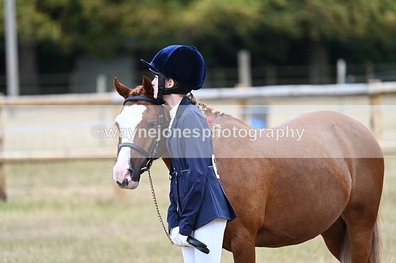 WJ7_8406 - Class 4 Prettiest Mare up to 14.2hh