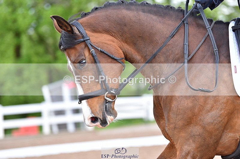 230511A-104258-00326 - BD Cls 4 Novice 22