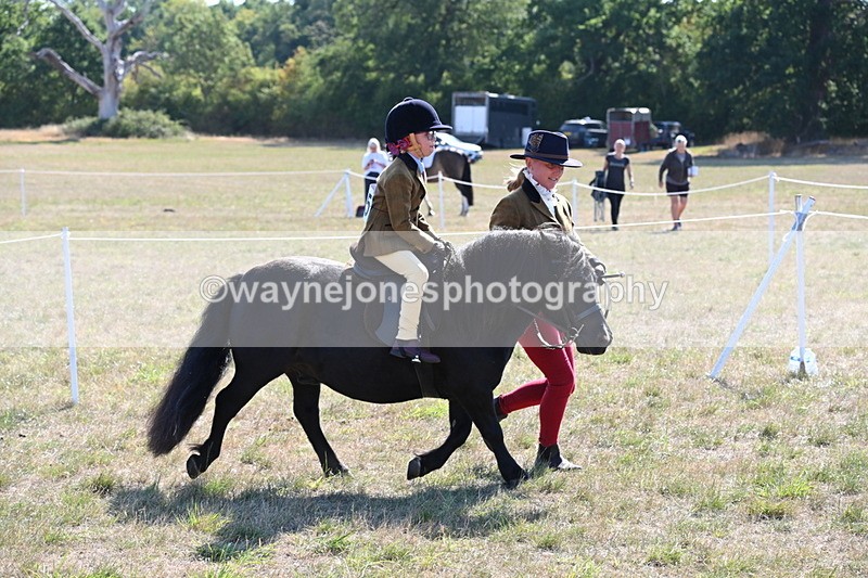 WJ6_7444 - Class 34 Judges Choice