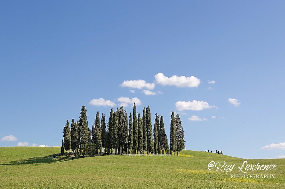 Tuscany_04516_RLP074 - Further Afield